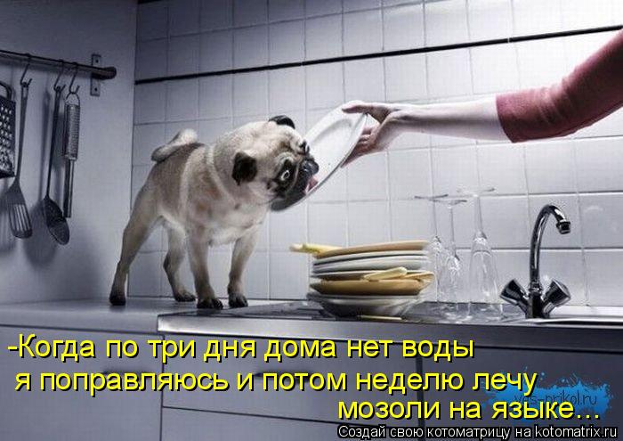 Котоматрица: -Когда по три дня дома нет воды я поправляюсь и потом неделю лечу мозоли на языке...