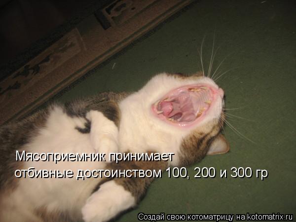 Котоматрица: Мясоприемник принимает отбивные достоинством 100, 200 и 300 гр