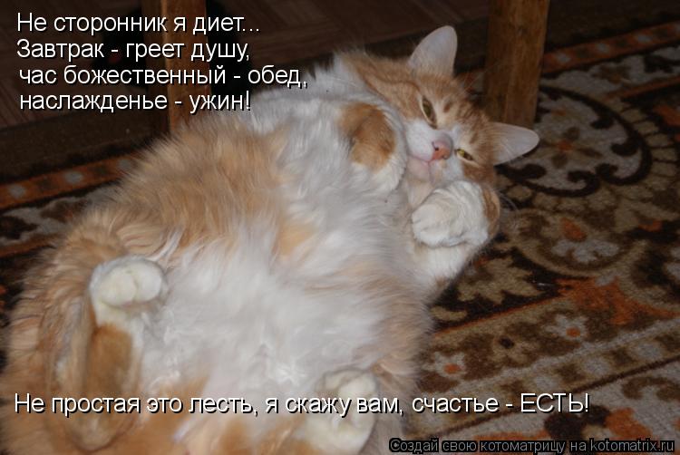 Котоматрица: Не сторонник я диет... Завтрак - греет душу, час божественный - обед, наслажденье - ужин! Не простая это лесть, я скажу вам, счастье - ЕСТЬ!
