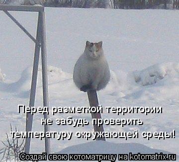 Котоматрица: Перед разметкой территории не забудь проверить температуру окружающей среды!