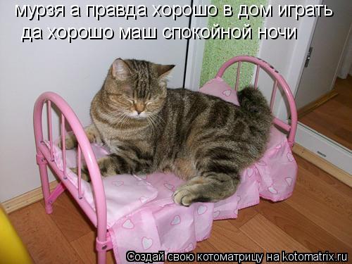Котоматрица: мурзя а правда хорошо в дом играть да хорошо маш спокойной ночи