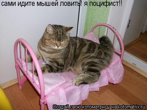 Котоматрица: сами идите мышей ловить! я поцифист!!