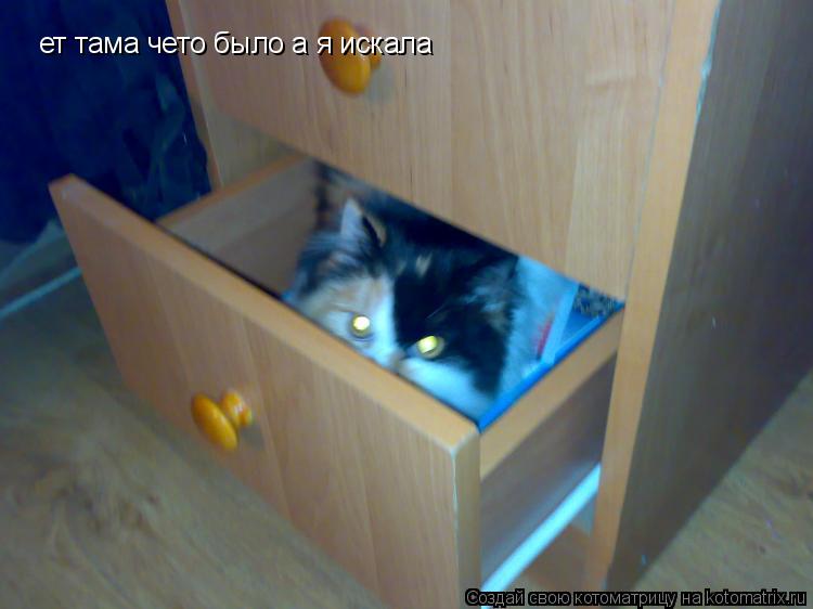 ет тама чето было а я искала ет тама чето было а я искала... Котоматрица: ет тама чето было а я искала ет тама чето было а я искала