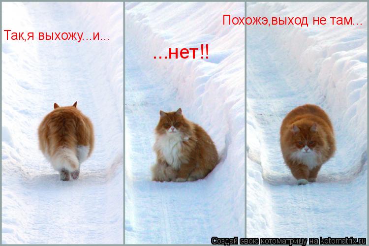 Котоматрица: Так,я выхожу...и... ...нет!! Похожэ,выход не там...