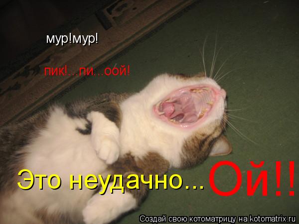 Котоматрица: мур!мур! пик!...пи...оой! Это неудачно... Ой!!
