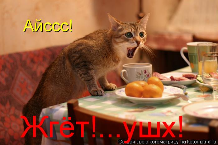 Котоматрица: Айссс! Жгёт!...ушх!
