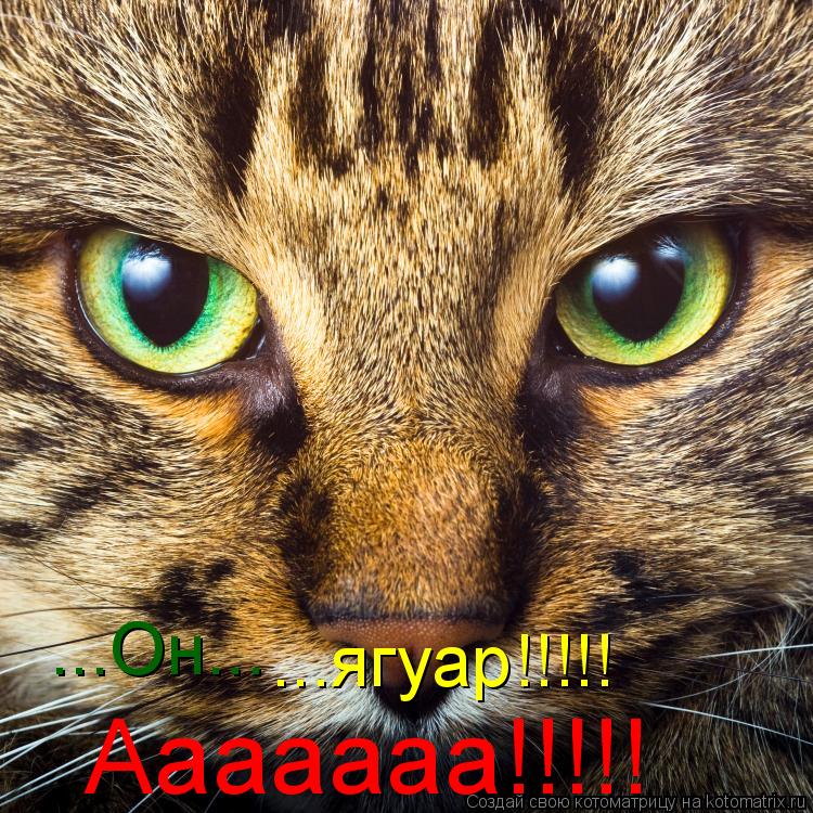 Котоматрица: ...Он... ...ягуар!!!!! Ааааааа!!!!!