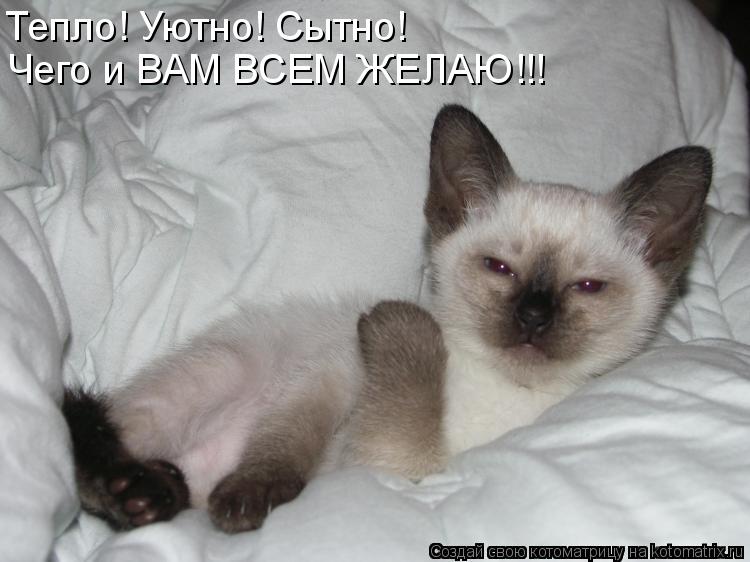 Котоматрица: Тепло! Уютно! Сытно! Чего и ВАМ ВСЕМ ЖЕЛАЮ!!!