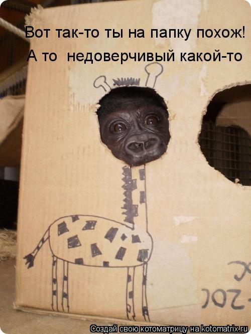 Котоматрица: Вот так-то ты на папку похож!  А то  недоверчивый какой-то