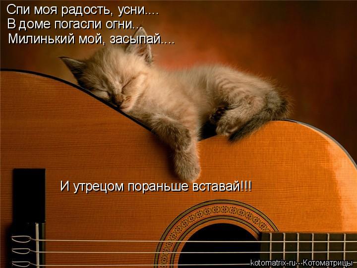 Котоматрица: Спи моя радость, усни.... В доме погасли огни... Милинький мой, засыпай.... И утрецом пораньше вставай!!!