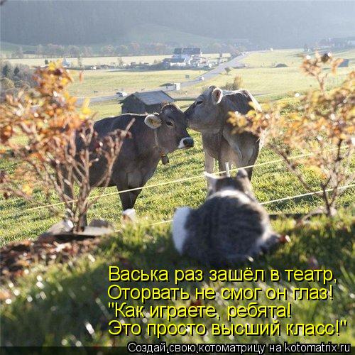 Котоматрица: Васька раз зашёл в театр, Оторвать не смог он глаз! "Как играете, ребята! Это просто высший класс!"