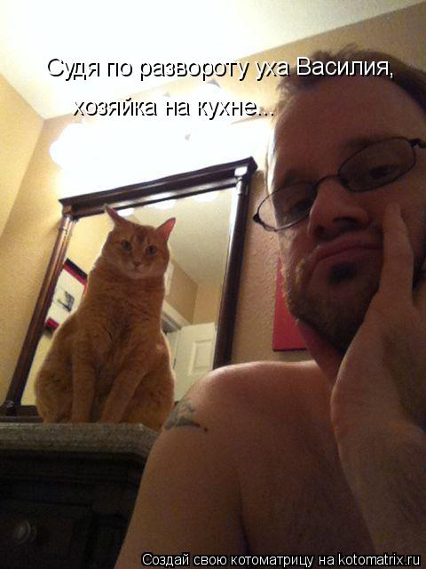 Котоматрица: Судя по развороту уха Василия,  хозяйка на кухне...