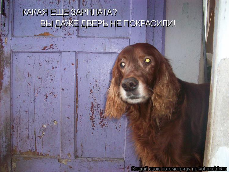 Котоматрица: КАКАЯ ЕЩЕ ЗАРПЛАТА? ВЫ ДАЖЕ ДВЕРЬ НЕ ПОКРАСИЛИ!