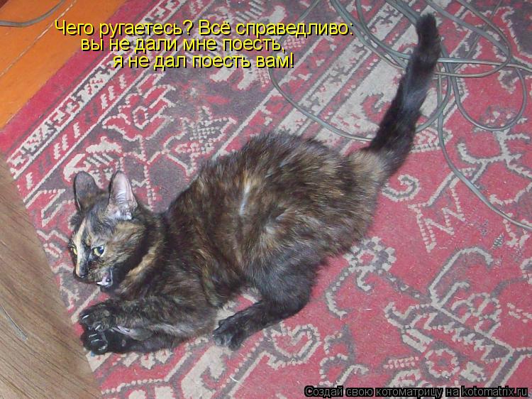 Котоматрица: Чего ругаетесь? Всё справедливо: вы не дали мне поесть, я не дал поесть вам!