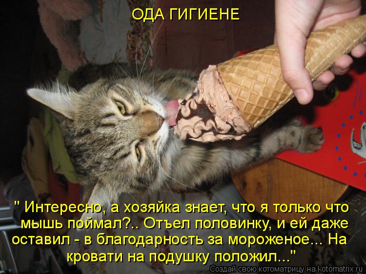 Котоматрица: " Интересно, а хозяйка знает, что я только что мышь поймал?.. Отъел половинку, и ей даже  оставил - в благодарность за мороженое... На кровати на 