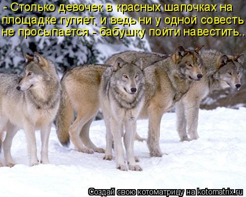 Котоматрица: - Столько девочек в красных шапочках на  площадке гуляет, и ведь ни у одной совесть не просыпается - бабушку пойти навестить...