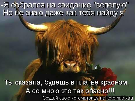 Котоматрица: -Я собрался на свидание "вслепую" Но не знаю даже как тебя найду я Ты сказала, будешь в платье красном, Ты сказала, будешь в платье красном, А с