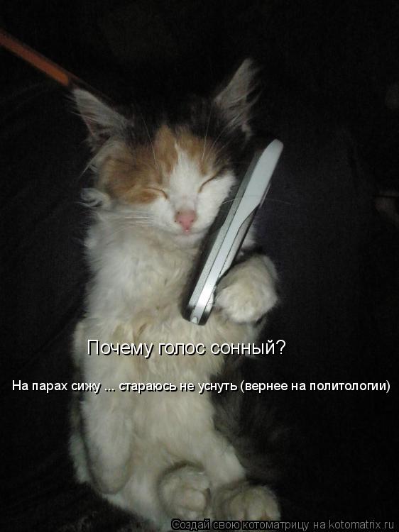Котоматрица: Почему голос сонный?  На парах сижу ... стараюсь не уснуть (вернее на политологии)