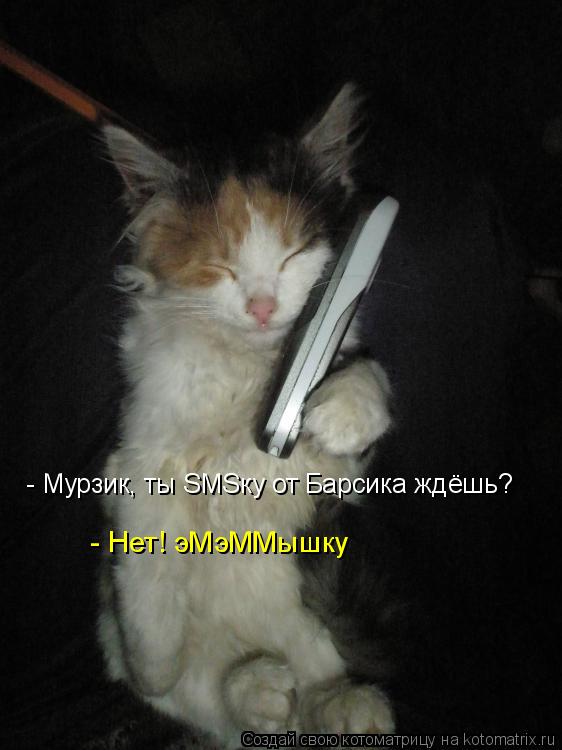 - Мурзик, ты SMSку от Барсика ждёшь? - Нет! эМэММышку... Котоматрица: - Мурзик, ты SMSку от Барсика ждёшь? - Нет! эМэММышку