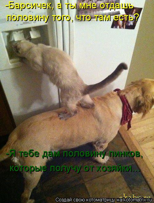 Котоматрица: -Барсичек, а ты мне отдашь  половину того, что там есть? -Я тебе дам половину пинков, которые получу от хозяйки...