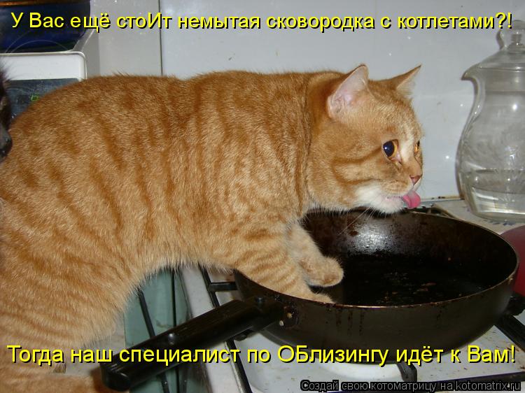 Котоматрица: У Вас ещё стоИт немытая сковородка с котлетами?! Тогда наш специалист по ОБлизингу идёт к Вам!