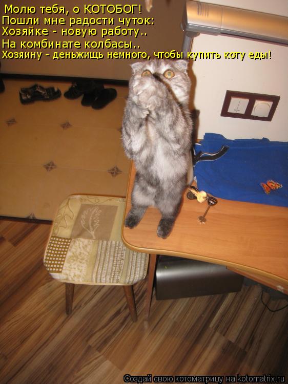 Котоматрица: Молю тебя, о КОТОБОГ! Пошли мне радости чуток: На комбинате колбасы.. Хозяйке - новую работу.. Хозяину - деньжищь немного, чтобы купить коту ед