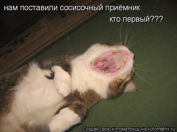 Котоматрица: нам поставили сосисочный приёмник кто первый???