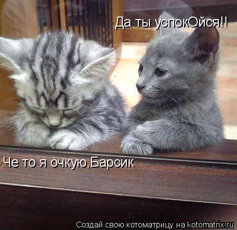 Че то я очкую,Барсик Да ты успокОйся!!... Котоматрица: Че то я очкую,Барсик Да ты успокОйся!!