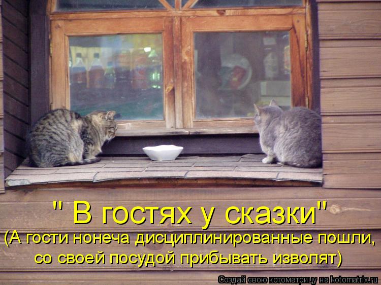 Котоматрица: " В гостях у сказки" (А гости нонеча дисциплинированные пошли, со своей посудой прибывать изволят)