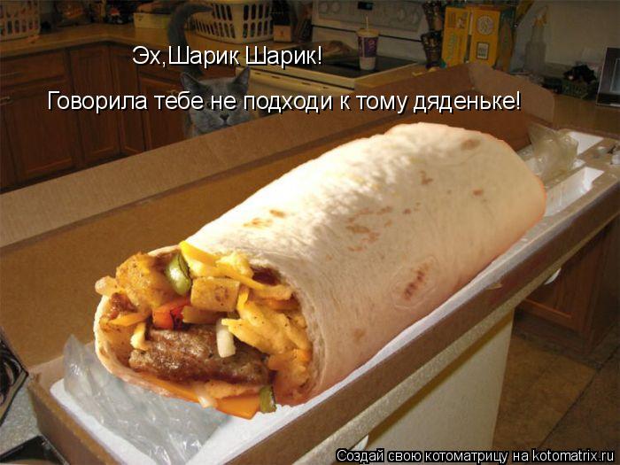 Котоматрица: Эх,Шарик Шарик!  Говорила тебе не подходи к тому дяденьке!