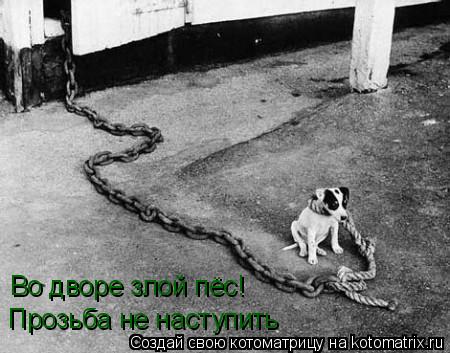 Во дворе злой пёс! Прозьба не наступить... Котоматрица: Во дворе злой пёс! Прозьба не наступить