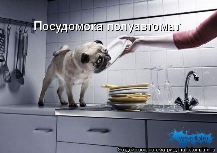 Котоматрица: Посудомока полуавтомат