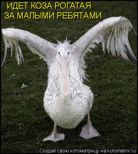 Котоматрица: ИДЕТ КОЗА РОГАТАЯ ЗА МАЛЫМИ РЕБЯТАМИ