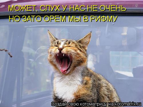 Котоматрица: МОЖЕТ, СЛУХ У НАС НЕ ОЧЕНЬ НО ЗАТО ОРЕМ МЫ В РИФМУ