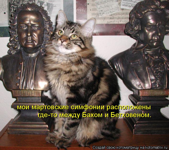 мои мартовские симфонии расположены где-то между Бахом и Бетховеном.... Котоматрица: мои мартовские симфонии расположены где-то между Бахом и Бетховеном.