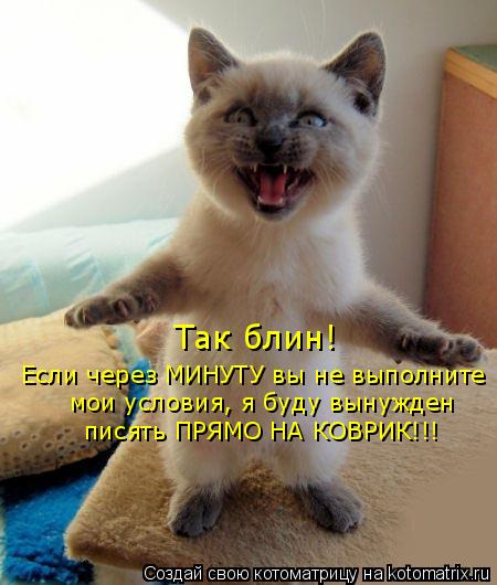 Так блин! Если через МИНУТУ вы не выполните мои условия, я буду вынужден писять ПРЯМО НА КОВРИК!!!... Котоматрица: Так блин! Если через МИНУТУ вы не выполните мои условия, я буду вынужден писять ПРЯМО НА КОВРИК!!!