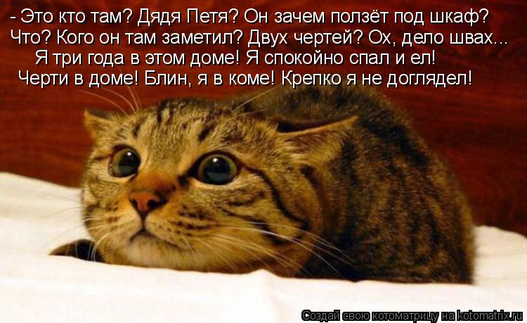- Это кто там? Дядя Петя? Он зачем ползёт под шкаф? Что? Кого он там заметил? Двух чертей? Ох, дело ш... Котоматрица: - Это кто там? Дядя Петя? Он зачем ползёт под шкаф? Что? Кого он там заметил? Двух чертей? Ох, дело швах... Я три года в этом доме! Я спокойно спал