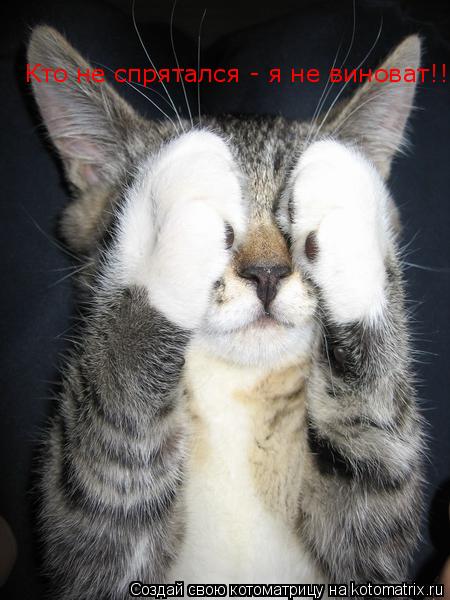 Котоматрица: Кто не спрятался - я не виноват!!!