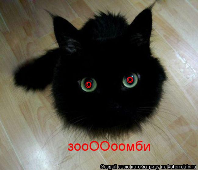 о о О О зооООоомби... Котоматрица: о о О О зооООоомби