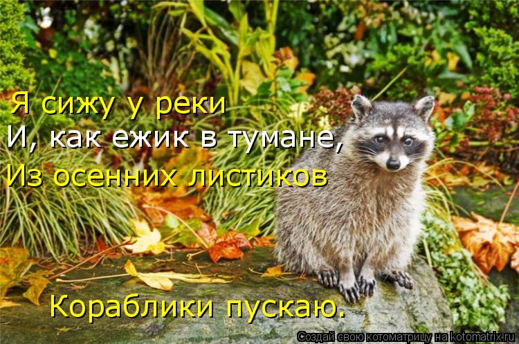 Котоматрица: Я сижу у реки  И, как ежик в тумане, Из осенних листиков Кораблики пускаю.