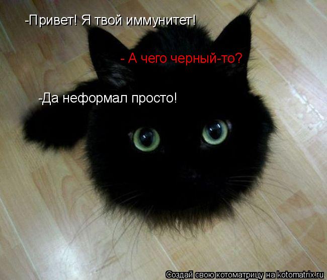 Котоматрица: -Привет! Я твой иммунитет! - А чего черный-то? -Да неформал просто!