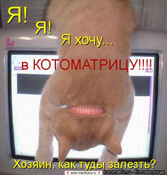 Я! Я! Я хочу... в КОТОМАТРИЦУ!!!! Хозяин, как туды залезть?... Котоматрица: Я! Я! Я хочу... в КОТОМАТРИЦУ!!!! Хозяин, как туды залезть?