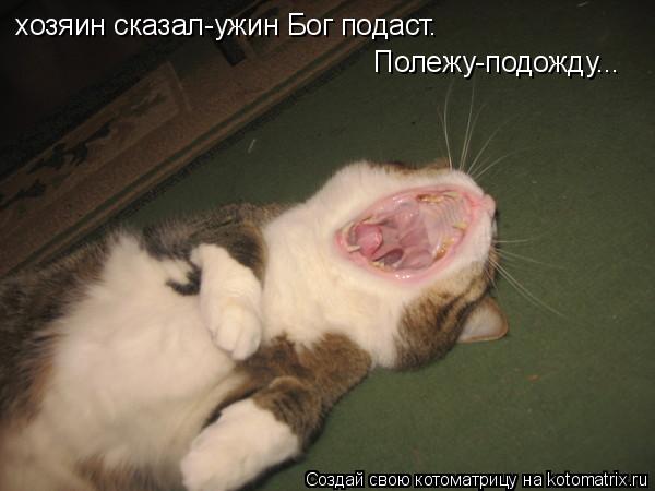 хозяин сказал-ужин Бог подаст. Полежу-подожду...... Котоматрица: хозяин сказал-ужин Бог подаст. Полежу-подожду...