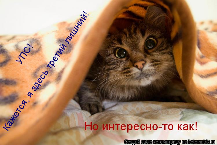 Кажется, я здесь третий лишний! УПС! Но интересно-то как!... Котоматрица: Кажется, я здесь третий лишний! УПС! Но интересно-то как!