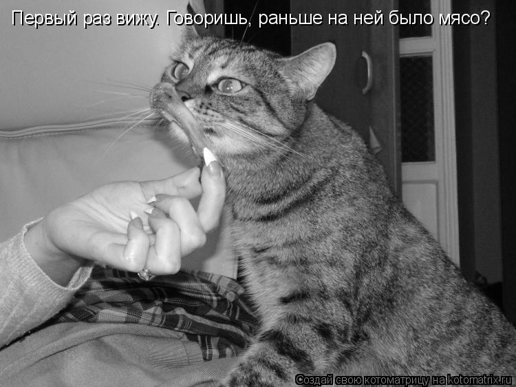 Первый раз вижу. Говоришь, раньше на ней было мясо?... Котоматрица: Первый раз вижу. Говоришь, раньше на ней было мясо?