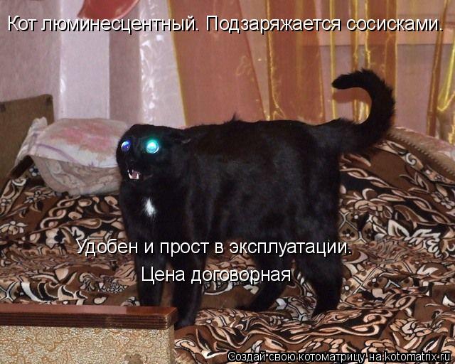 Кот люминесцентный. Подзаряжается сосисками. Кот люминесцентный. Подзаряжается сосисками. Удобен и пр... Котоматрица: Кот люминесцентный. Подзаряжается сосисками. Кот люминесцентный. Подзаряжается сосисками. Удобен и прост в эксплуатации. Цена договорная