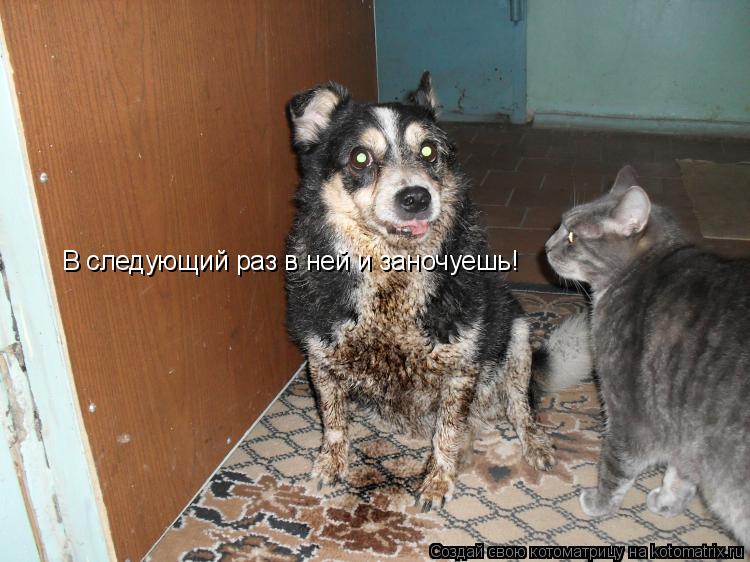 В следующий раз в ней и заночуешь!... Котоматрица: В следующий раз в ней и заночуешь!