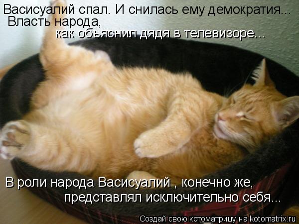 Васисуалий спал. И снилась ему демократия... Власть народа, как объяснил дядя в телевизоре... В роли... Котоматрица: Васисуалий спал. И снилась ему демократия... Власть народа, как объяснил дядя в телевизоре... В роли народа Васисуалий , конечно же, представл