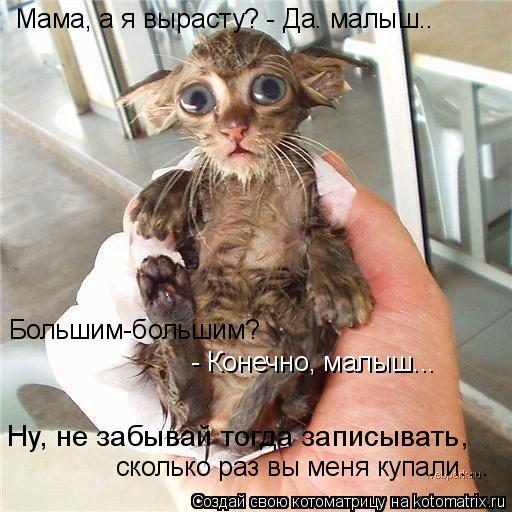 Мама, а я вырасту? - Да. малыш.. Большим-большим? - Конечно, малыш... сколько раз вы меня купали....... Котоматрица: Мама, а я вырасту? - Да. малыш.. Большим-большим? - Конечно, малыш... сколько раз вы меня купали.... Ну, не забывай тогда записывать,