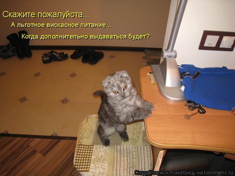 Скажите пожалуйста... А льготное вискасное питание... Когда дополнительно выдаваться будет?... Котоматрица: Скажите пожалуйста... А льготное вискасное питание... Когда дополнительно выдаваться будет?